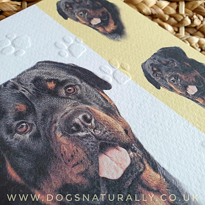 Rottweiler Dog Card Simply Elegant Range